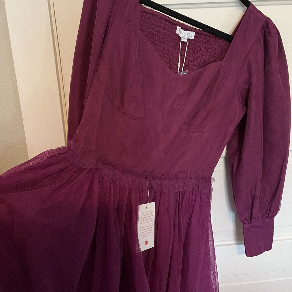 Ivy City Co Florence Dress in Wine
